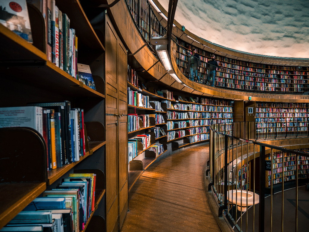Bibliothèque à perte de vue