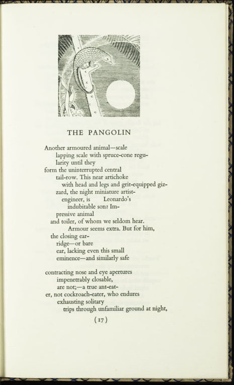The Pangolin
