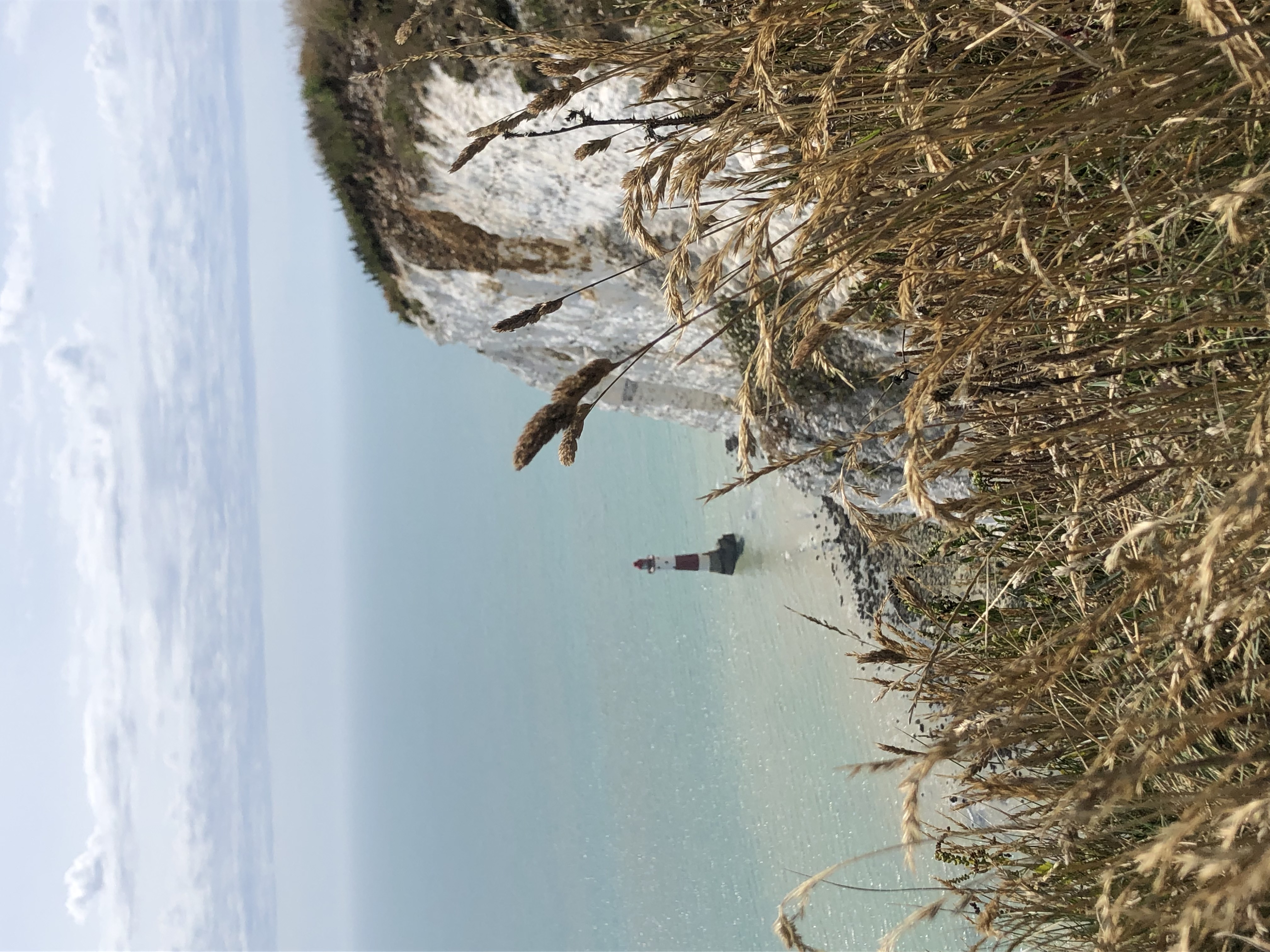 Beachy Head Cliffs